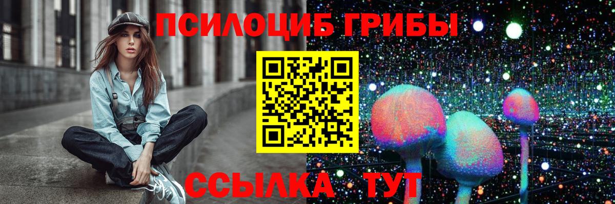 Галлюциногенные грибы Psilocybine cubensis Петропавловск-Камчатский