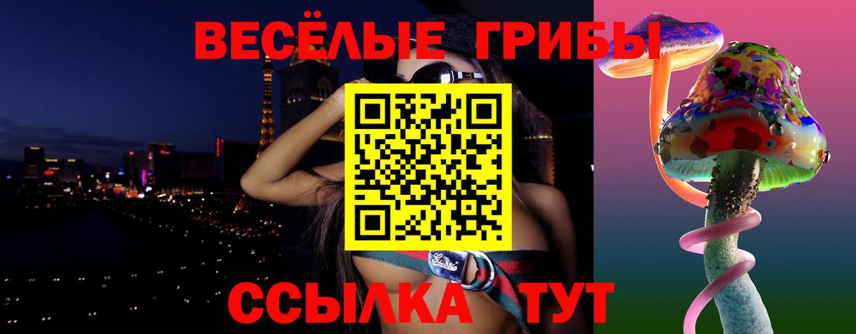 Галлюциногенные грибы Psilocybine cubensis  Вход с VPN  Петропавловск-Камчатский 